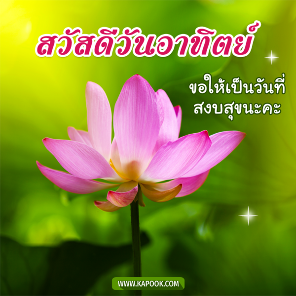 สวัสดีวันอาทิตย์ ขอให้เป็นวันที่สงบสุขนะคะ