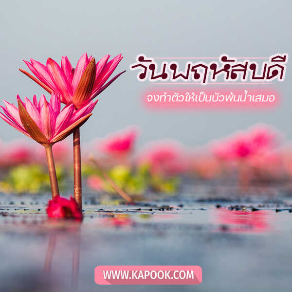 สวัสดีวันพฤหัสบดี
