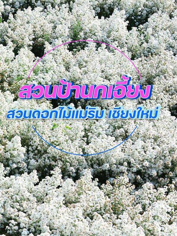 สวนป้านกเอี้ยง