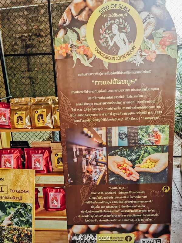 SEED Of SIAM กาแฟจันทบูร