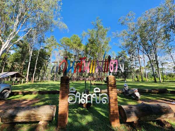 สวนสนแม่แตง