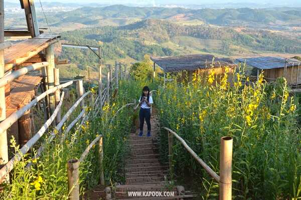 เที่ยวเชียงราย