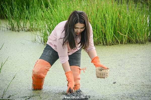 เที่ยวสุพรรณบุรี