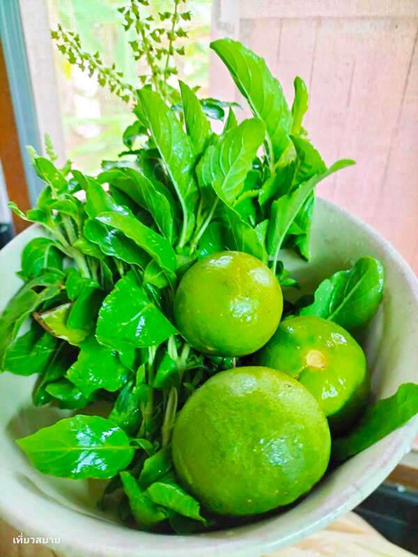 ต้มยำไก่ย่างใบกะเพรา เมนูต้มยำ เมนูไก่ย่าง สูตรอาหาร