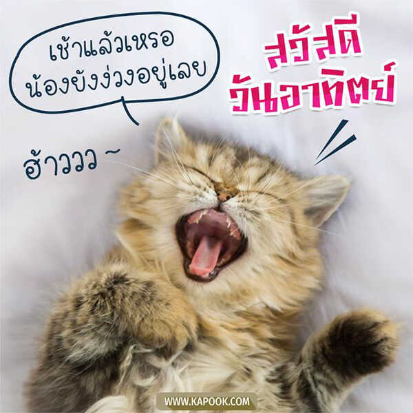 สวัสดีวันอาทิตย์