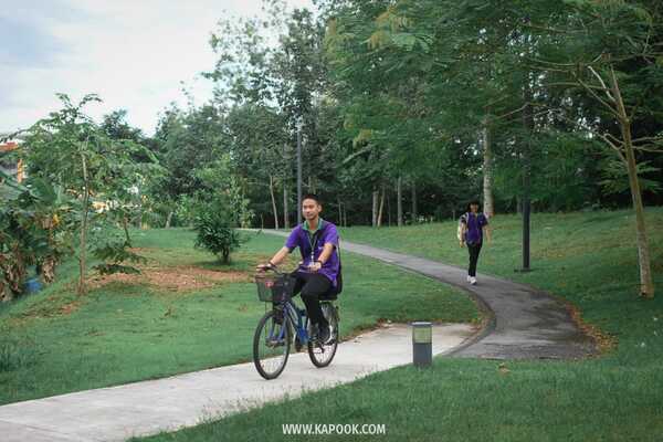 วังจันทร์ ระยอง