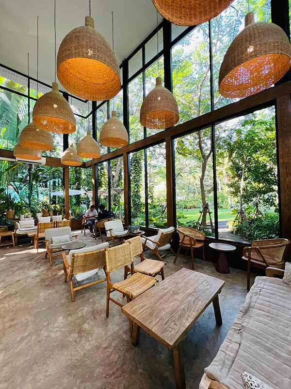 MiVana Organic Forest Coffee บรรยากาศ