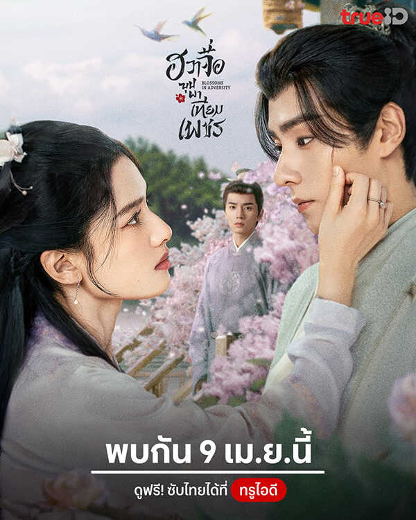 โปสเตอร์ ฮวาจื่อบุปผาเทียมเพชร พระเอกสายโบ้ ซีรีส์จีน 