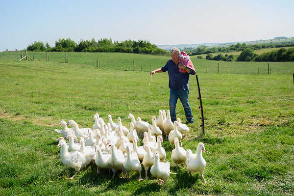 Clarkson’s Farm Season 5 ชีวิตทำไร่ของคลาร์กสัน ซีซั่น 5 Prime Video แนะนำเนื้อหา เดือนมิถุนายน 2569