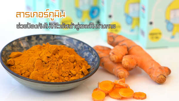 สติ๊กเกอร์หัวหอม Happy Noz
