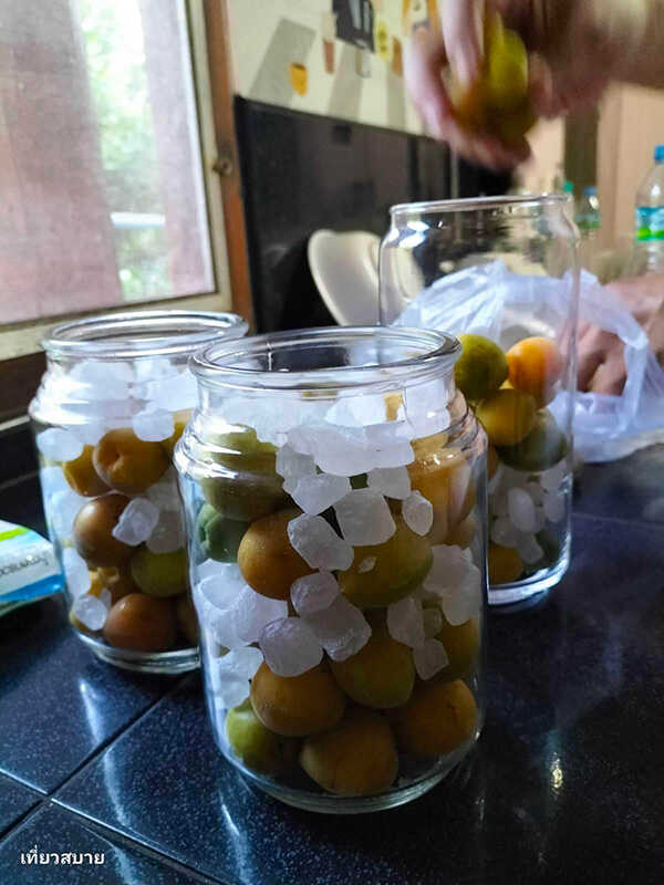 ไซรัปบ๊วย วิธีทำ Ume Syrup สูตรเครื่องดื่ม