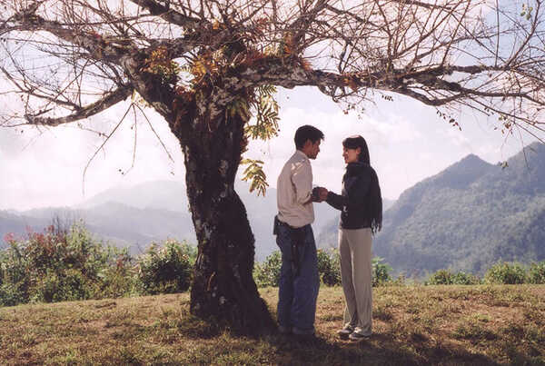 หนัง ซีรีส์ดารม่า 