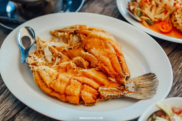 ขบวนรถ KIHA 183 เที่ยวฉะเชิงเทรา