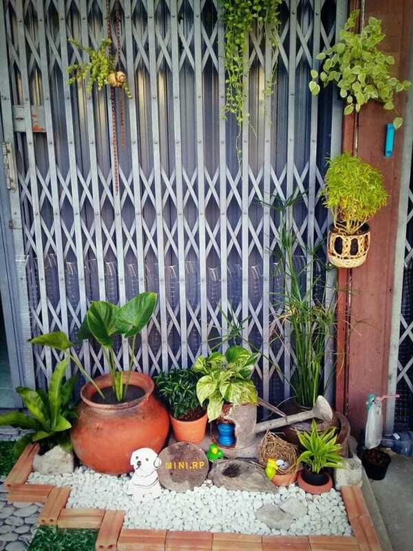 จัดสวนหน้าบ้านตึกแถว