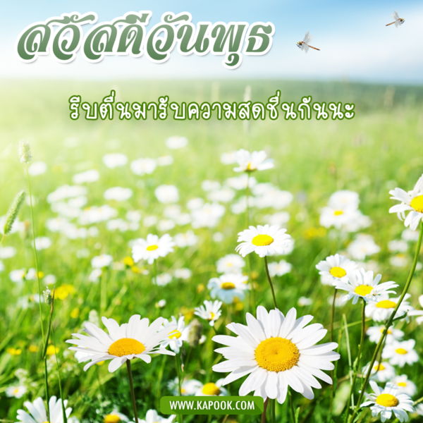 สวัสดีวันพุธ รีบตื่นมารับความสดชื่นกันนะ