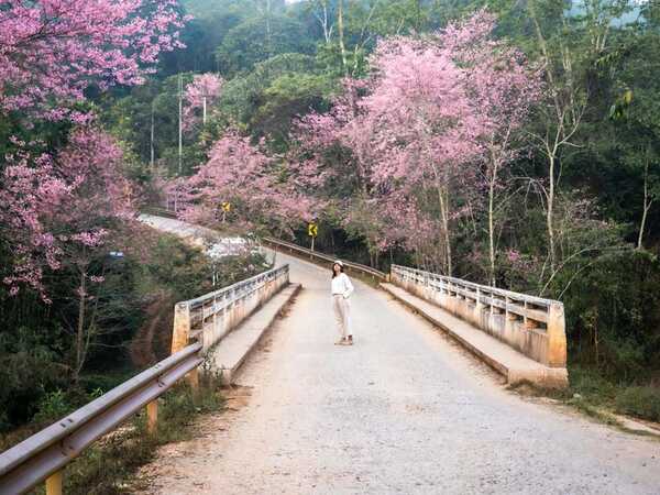 ภูลมโล