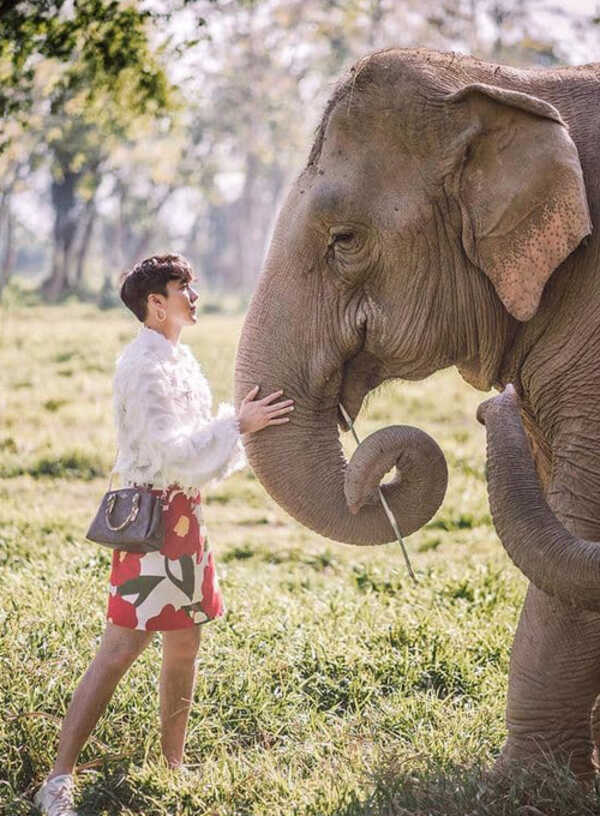 แฟชั่น, เขื่อน ภัทรดนัย
