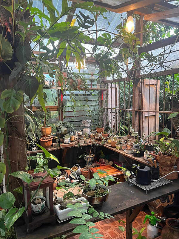 คาเฟ่หนองคาย