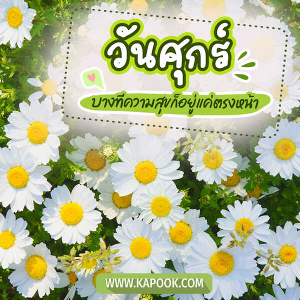 วันศุกร์ บางทีความสุขก็อยู่แค่ตรงหน้า