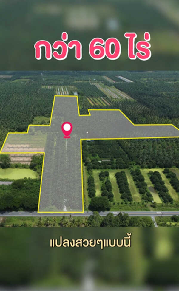 เจมส์ เรืองศักดิ์ ประกาศขาย สวนปาล์ม-ส้มโอ 60 ไร่