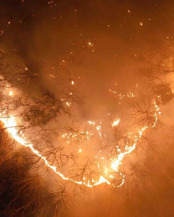 เป๊ก นิว