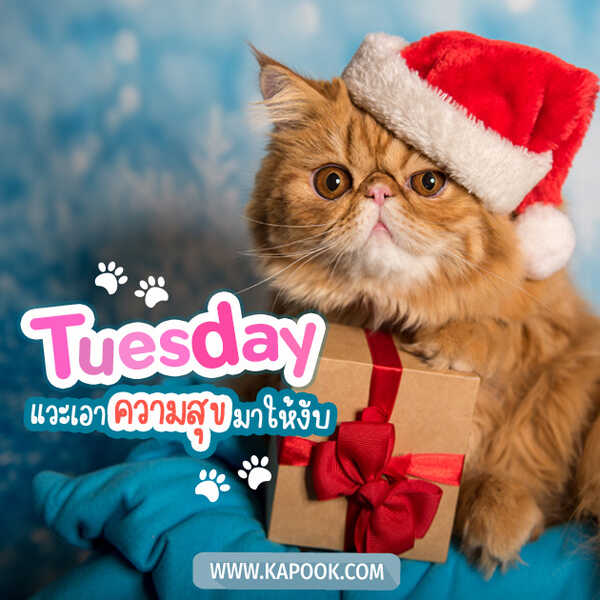 Tuesday แวะเอาความสุขมาให้งับ