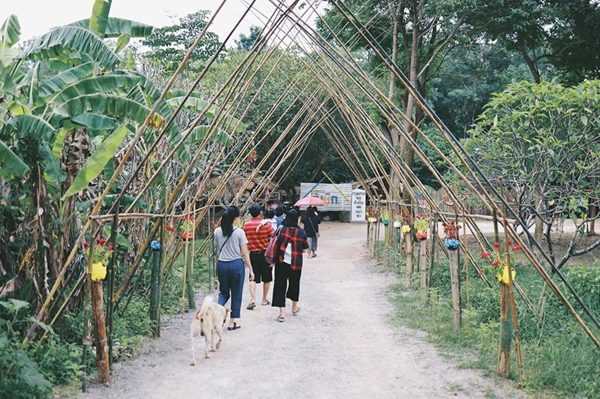 ตลาดโอ๊ะเมิก