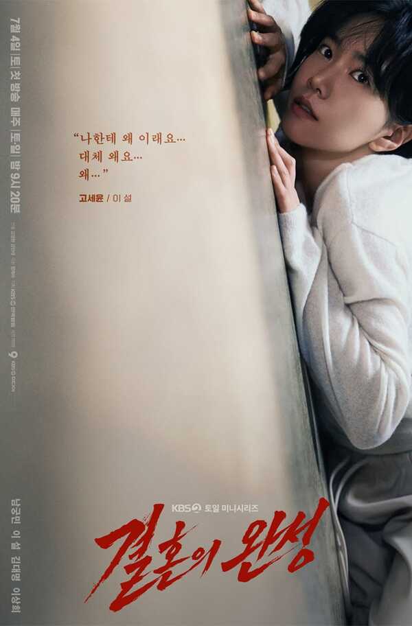 The Husband ซีรีส์เกาหลี