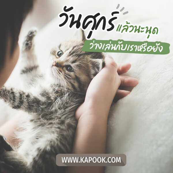สวัสดีวันศุกร์