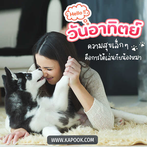 วันอาทิตย์ ความสุขเล็ก ๆ คือการได้เล่นกับน้องหมา