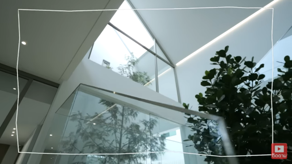 แดน แพทตี้