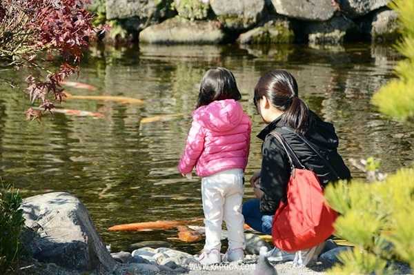 เที่ยวคุมาโมโตะ ญี่ปุ่น