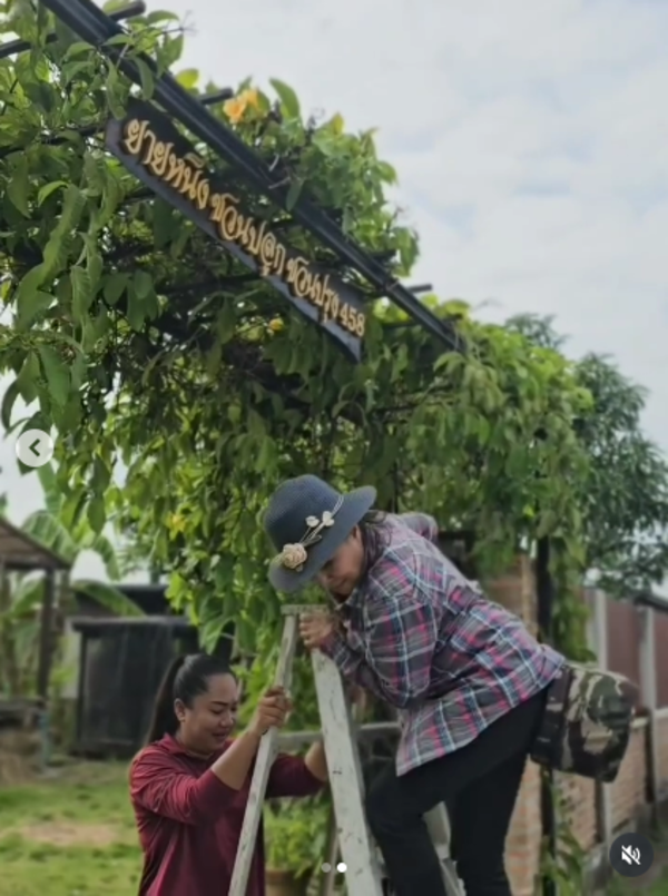 ยายหนิง แม่ชมพู่ อารยา ถือฤกษ์วันดีขึ้นป้ายหน้าสวน