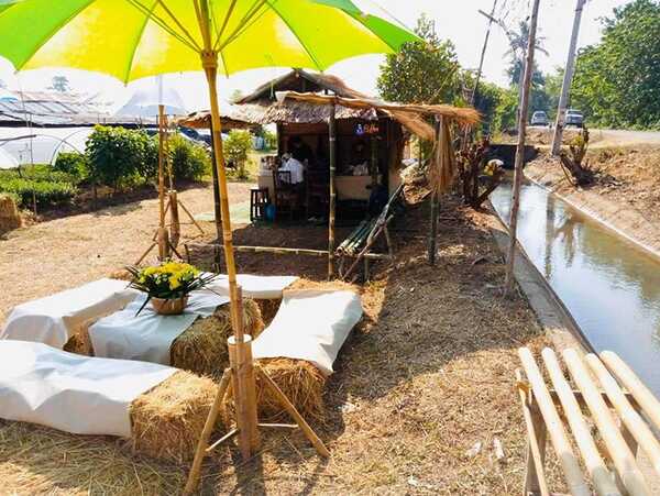 สวนดอกไม้พ่อหลวงชัชร์ เชียงใหม่