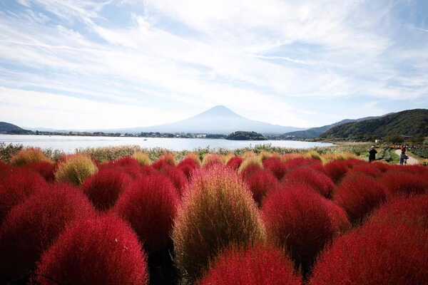 จุดชมภูเขาไฟฟูจิ 