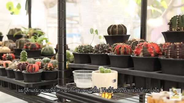 บ้านหนูแหม่ม