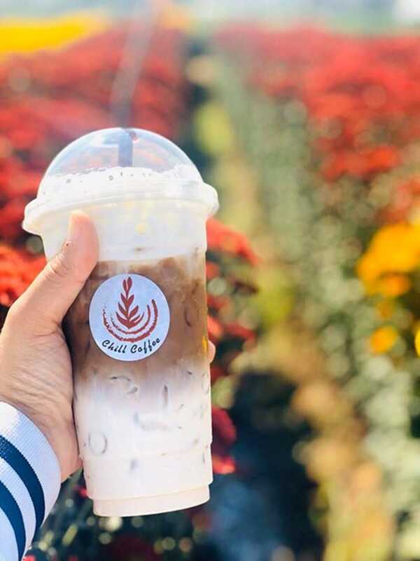 สวนดอกไม้พ่อหลวงชัชร์ เชียงใหม่