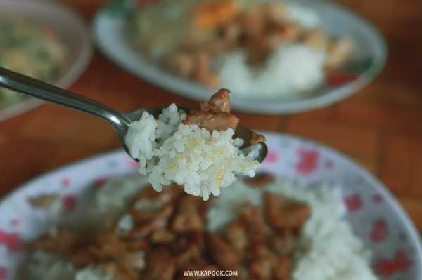 บ้านแม่กลางหลวง