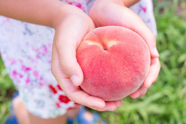 ผลไม้ญี่ปุ่น