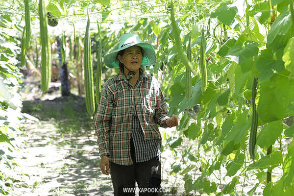 ป่าวังจันทร์