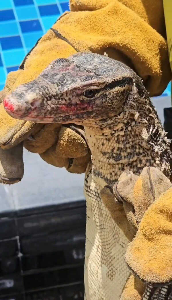 เจเพชรจ้า เผยโฉม 1 ในตัวการ ทำต้องรื้อบ้าน